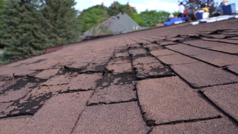 Best Flat Roofing  in Bude, MS