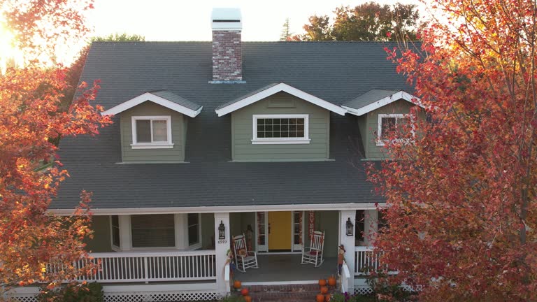 Best Roof Moss and Algae Removal  in Bude, MS